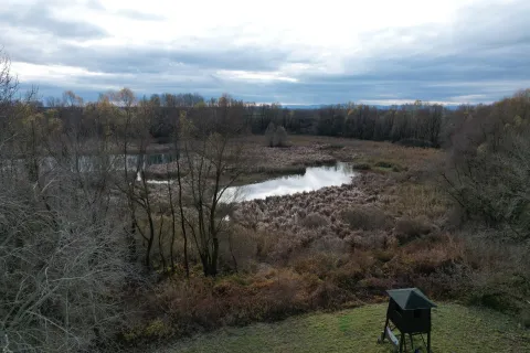 DONJI MIHOLJACJavna ustanova Agencija za upravljanje za&scaron;tićenim prirodnim vrijednostima na području Osječko-baranjske županije prijavila je projekt "Pobolj&scaron;ano upravljanje Posebnim ornitolo&scaron;kim rezervatom Podpanj" na poziv Ministarstva za&scaron;tite okoli&scaron;a i zelene tranzicije u okviru Programa "Konkurentnost i kohezija 2021. &ndash; 2027." koji je sada odobren, a uskoro slijedi i Odluka o financiranju, obavijestili su iz Županije.2026.