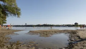 Vukovarska ada, srpanj 2022