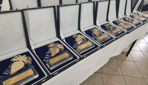 Priznanja Zlatna repafoto: Marija Le&scaron;ić Omerović