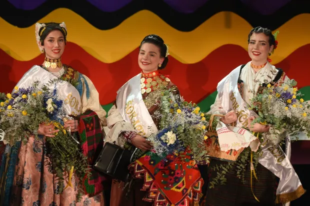 &Scaron;okački cvit i pratiljeFoto-Video Focus