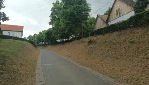 Realiziran prekogranični projekt: U Katoličkom surduku zasvijetlit će rasvjeta