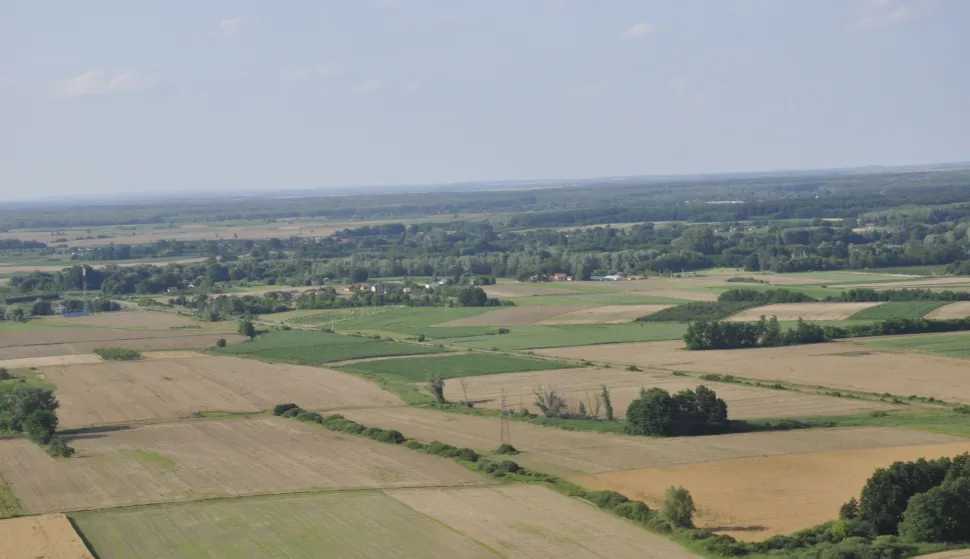 Općina Bizovac objavila javni poziv za potpore poljoprivrednim gospodarstvima u 2026.