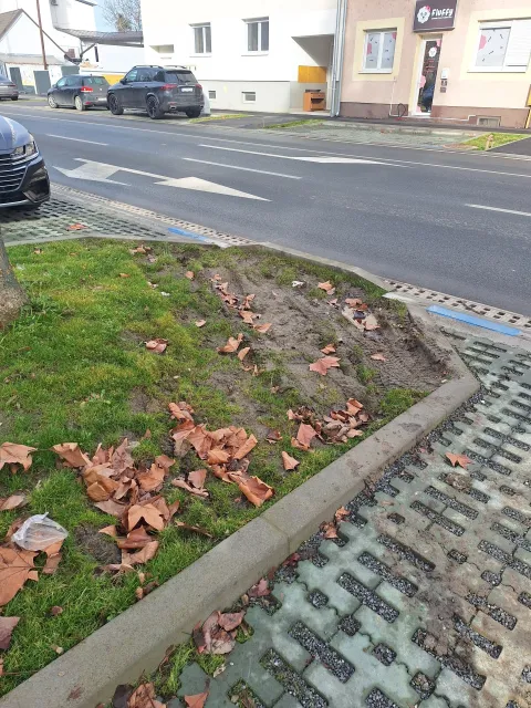 Vozači uni&scaron;tavaju zelene povr&scaron;ine u Gundulićevoj, kod Stanka Vrazaveljača 2026.Snimio: Ivan Alilović