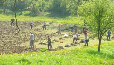 U Paučju kraj komune, u Terapijskoj zajednici Vrbica 31 ovisnik