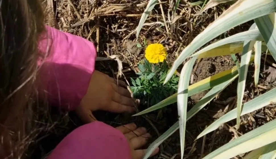 Prijave djece za proljetno-ljetni program ROOT Rengers