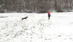 ORAHOVICA/ČAČINCI - TreNinzi i vježbe K9 vatrogasnih timovaSNIMIO: VLADIMIR GRGURIĆ