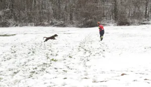 ORAHOVICA/ČAČINCI - TreNinzi i vježbe K9 vatrogasnih timovaSNIMIO: VLADIMIR GRGURIĆ