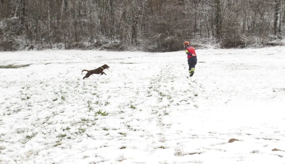 ORAHOVICA/ČAČINCI - TreNinzi i vježbe K9 vatrogasnih timovaSNIMIO: VLADIMIR GRGURIĆ