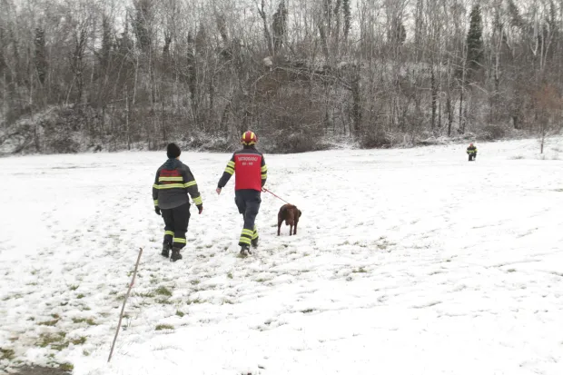 ORAHOVICA/ČAČINCI - TreNinzi i vježbe K9 vatrogasnih timovaSNIMIO: VLADIMIR GRGURIĆ