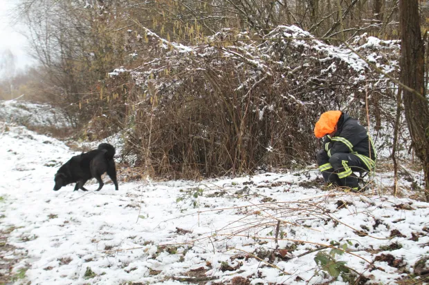 ORAHOVICA/ČAČINCI - TreNinzi i vježbe K9 vatrogasnih timovaSNIMIO: VLADIMIR GRGURIĆ