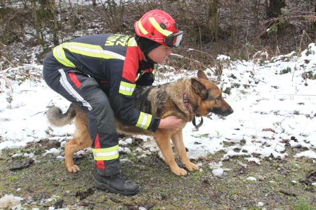ORAHOVICA/ČAČINCI - TreNinzi i vježbe K9 vatrogasnih timovaSNIMIO: VLADIMIR GRGURIĆ