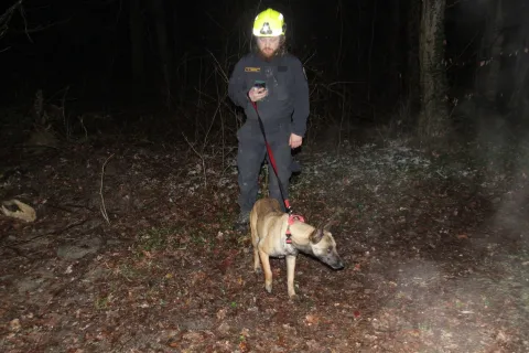 ORAHOVICA/ČAČINCI - TreNinzi i vježbe K9 vatrogasnih timovaSNIMIO: VLADIMIR GRGURIĆ