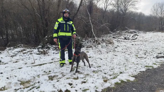 ORAHOVICA/ČAČINCI - TreNinzi i vježbe K9 vatrogasnih timovaSNIMIO: VLADIMIR GRGURIĆ