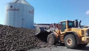 Početak kampanje u Župani očekuje se 9. rujna, a u Osijeku 16. rujnarujan, 2019.snimila Marija Le&scaron;ić Omerović