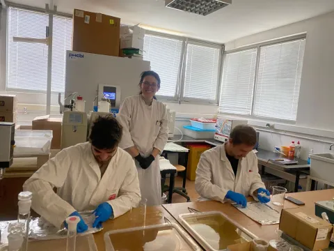 INSTITUT RUĐER BO&Scaron;KOVIĆZNANSTVENICI U SURADNJI S KOLEGAMA IZ AUSTRIJENOVE TKANINEVELJAČA 2026.