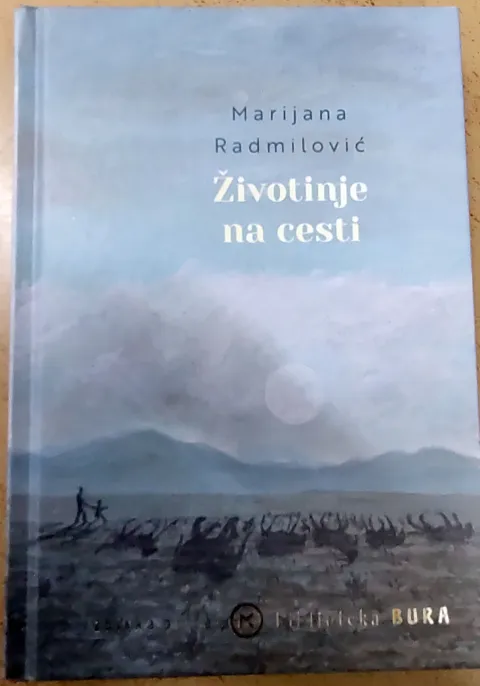 Radmilović: Ljudi su krhki i izloženi poput životinja na cesti