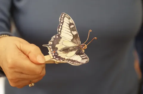 Osijek, 26. 02. 2026., Muzej Slavonije, radionica, 60+; Svjetlo i sjena u letu leptira, lutkarstvo, lutke, lutke sa mehanizmom, tema - leptirSNIMIO BRUNO JOBST