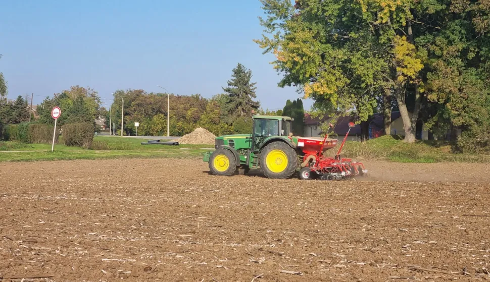 Sjetva na slavonsko-baranjskim poljima, jesen 2024.