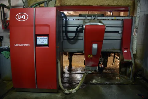 Vojvodinec, 25.02.2026 (nedeljni broj) - OPG Mikulinjak, na slici imanje, stala, krave...., tekst S.Pavic.foto Davor Kovacevicnedeljni