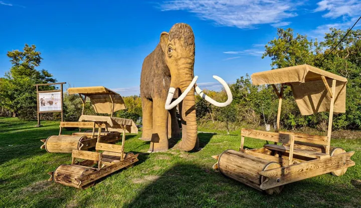 Prva nogometna lopta izložena je u Gradskom muzeju, ustupljena fotografija