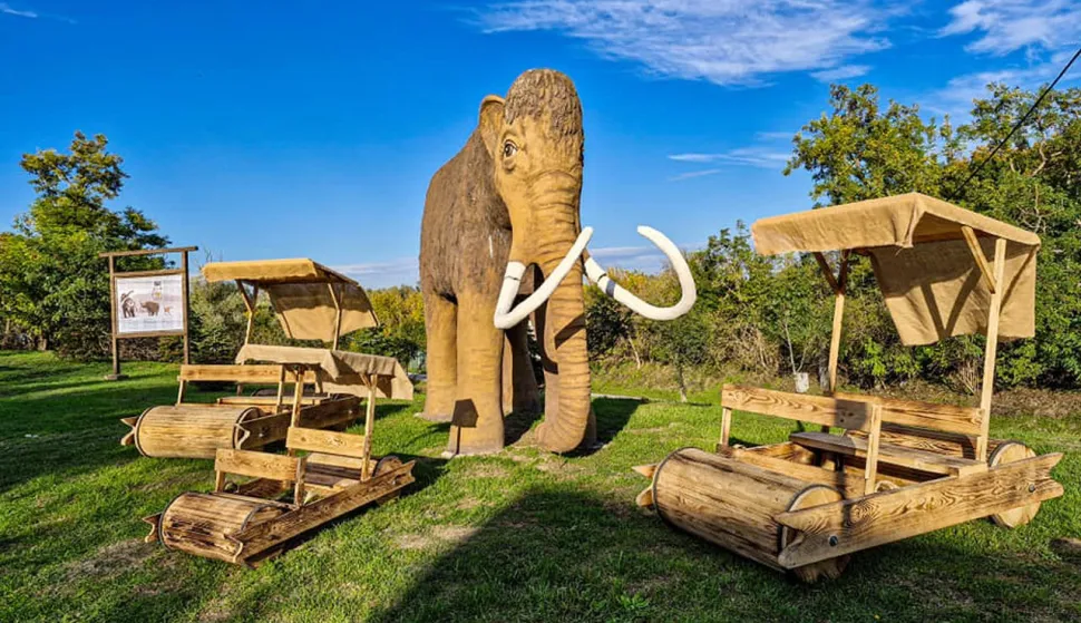 Prva nogometna lopta izložena je u Gradskom muzeju, ustupljena fotografija