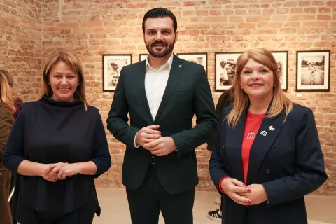 Mreža hrvatskih žena, Elveđi, Vulin i Spivak, ožujak 2026