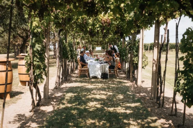 obz zlatna slavonija