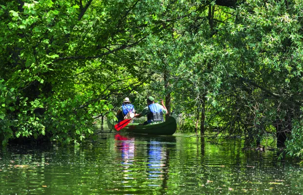 obz zlatna slavonija