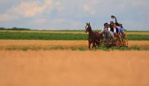 obz zlatna slavonija