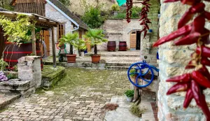 U naručju vinske majke Baranje vino iz pića prerasta u doživljaj