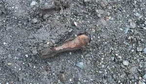 Minobacačka granata