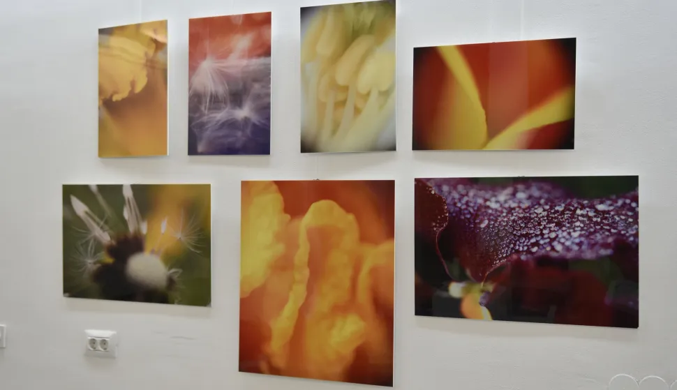 Snaga, ranjivost i čudo života u najči&scaron;ćem obliku