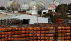 Gas bottles are seen near storage tanks at a Liquefied Petroleum Gas (LPG) factory in Pinto, near Madrid, on March 5, 2026. Markets have been roiled much of the week as the conflict between the United States and Iran effectively closed shipping through the Strait of Hormuz, where a fifth of the world's crude oil travels as well as considerable liquefied natural gas (LNG) supplies travel through. (Photo by Oscar DEL POZO/AFP)