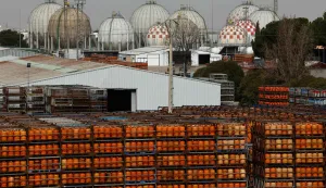 Gas bottles are seen near storage tanks at a Liquefied Petroleum Gas (LPG) factory in Pinto, near Madrid, on March 5, 2026. Markets have been roiled much of the week as the conflict between the United States and Iran effectively closed shipping through the Strait of Hormuz, where a fifth of the world's crude oil travels as well as considerable liquefied natural gas (LNG) supplies travel through. (Photo by Oscar DEL POZO/AFP)