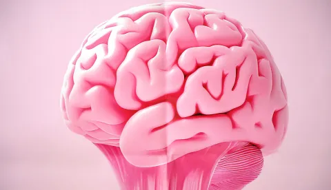 Tjedan mozga u Osijeku od 16. do 22. ožujka