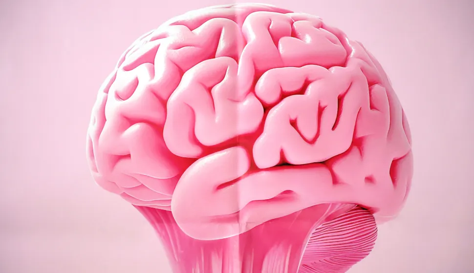 Tjedan mozga u Osijeku od 16. do 22. ožujka