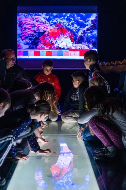 &ldquo;Slavonski arhipelag&rdquo; otkriva sve svoje tajne