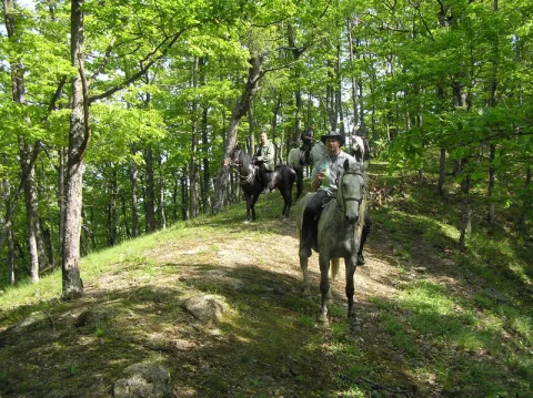 Orahovački kraj nudi dva jezera, &scaron;umovite planine, staru dama Ružica grad i zov adrenalina