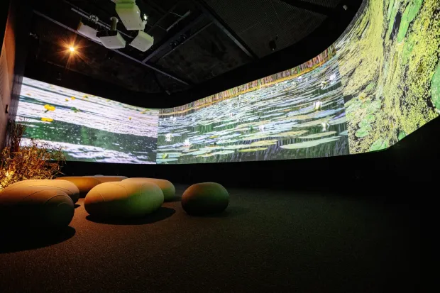 Križnica - ljekoviti mir uz &ldquo;zelenu&rdquo; kraljicu