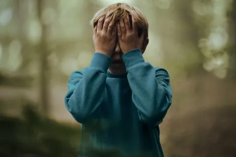 serija "The Chestnut Man: Hide and Seek"