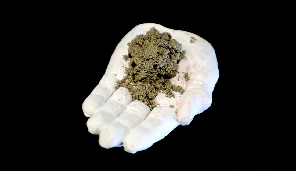 Osijek, 06. 02. 2025., Hotel Osijek, Clim Empower, konferencija, zelena tranzicija, zemlja na dlanu - ilustracija, poljoprivreda ilustracijaSNIMIO BRUNO JOBST