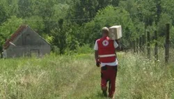 Crveni križ Osijek dijeli pakete pomoći kroz projekt &ldquo;Dru&scaron;tvo jednakih mogućnosti&rdquo;, kreću prijave u općini Bilje