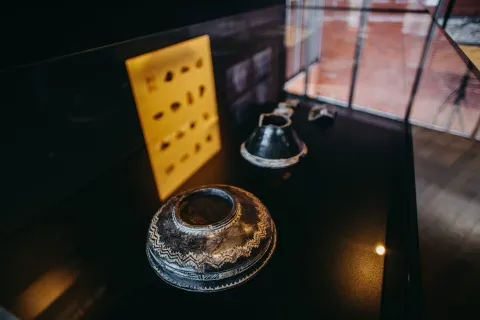 VUKOVAR - MUZEJ VUČEDOLSKE KULTUREOŽUJAK 2026.