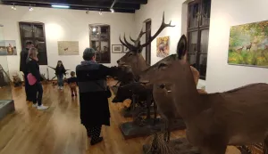 &Scaron;umarski muzej u Bo&scaron;njacima posjetili i Japanci