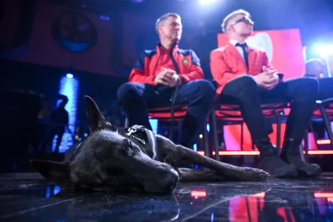 17.03.2026., Zagreb - Svecana dodjela nagrade Ponos Hrvatske u Tvornici kulture. pas LunaNizozemska ovčarka Luna, potražni pas HGSS - Stanica Osijek