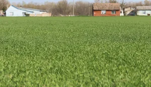 Osijek, 09. 03. 2026, Polja, oranica, poljoprivreda, ilustracija za proljetnu sjetvu.snimio GOJKO MITIĆ