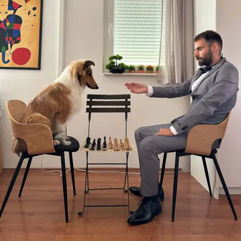 Noe Poropat, kviz Potjera