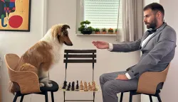 Noe Poropat, kviz Potjera