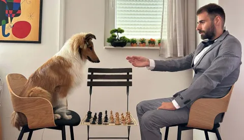 Noe Poropat, kviz Potjera