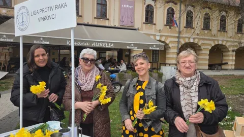 Dan narcisa Vinkovci